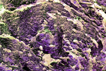 AP 77A